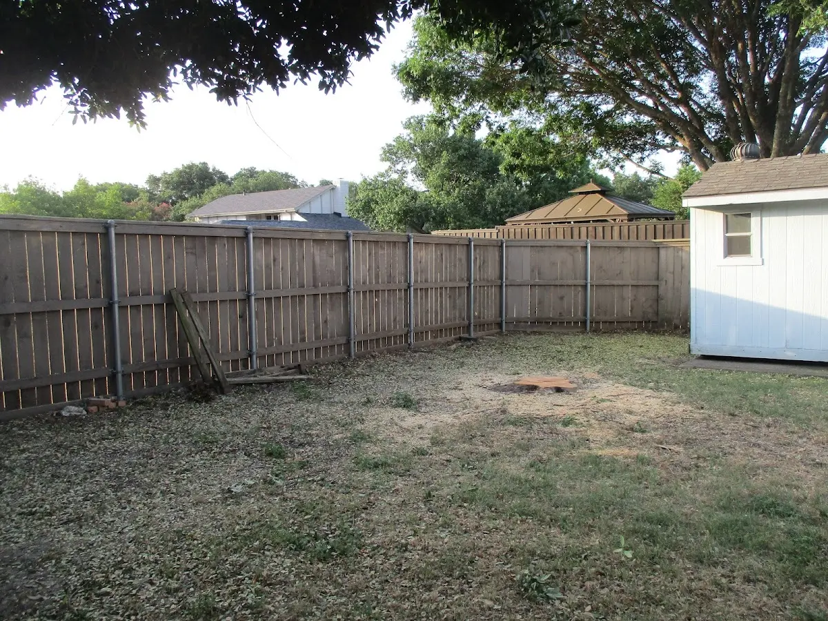 Cleared yard after professional tree removal in Rockwood